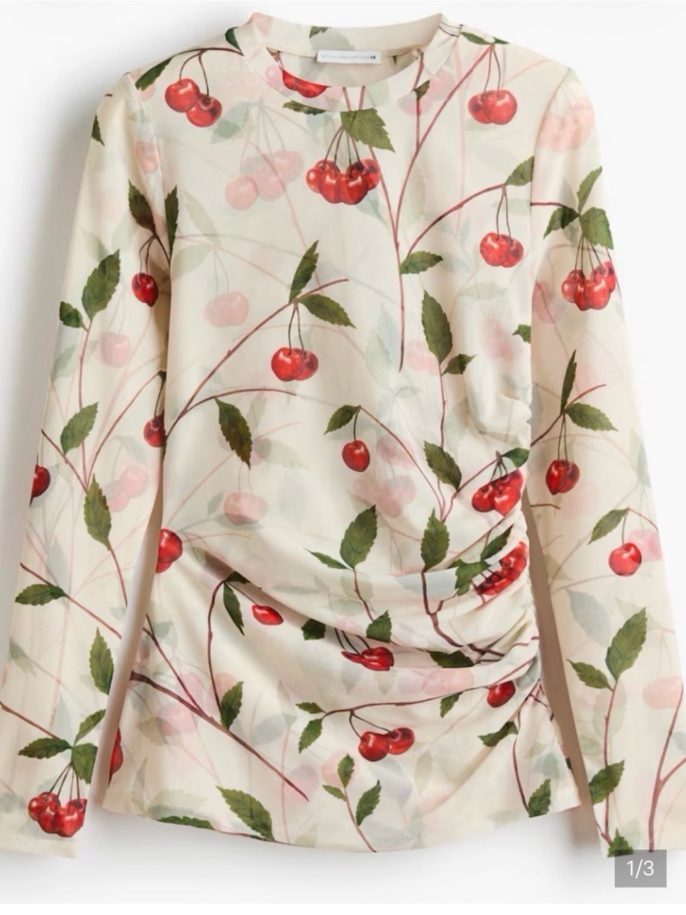 Stella Mccartney& HM